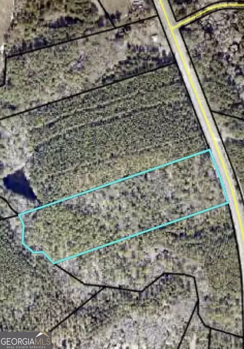 0 E Ga Hwy 86, Lyons, GA 30436 photo 5