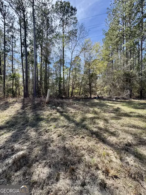 0 E Ga Hwy 86, Lyons, GA 30436 photo 3