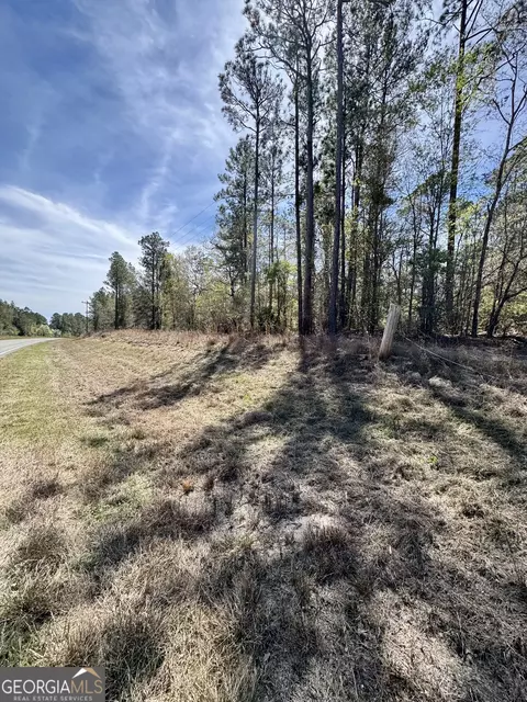 0 E Ga Hwy 86, Lyons, GA 30436 photo 4