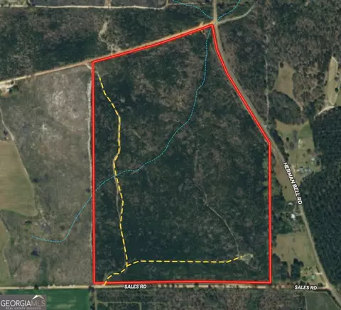 95 Ac Sales Rd, Mauk, GA 31058