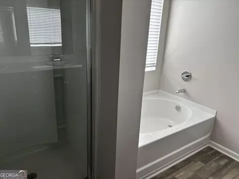 Bath - 2217 Hastings Manor Ct, Hampton, GA 30228 photo 1 of 2