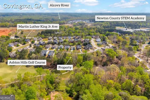 9141 Golfview Ln, Covington, GA 30014 photo 4