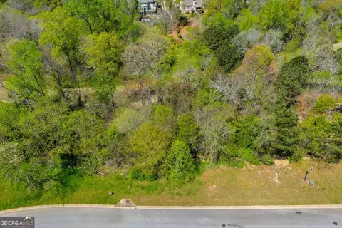 9141 Golfview Ln, Covington, GA 30014 photo 7