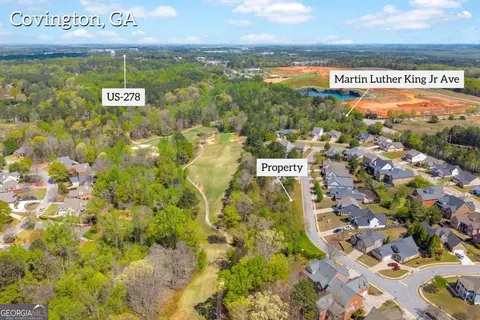 9141 Golfview Ln, Covington, GA 30014 photo 5