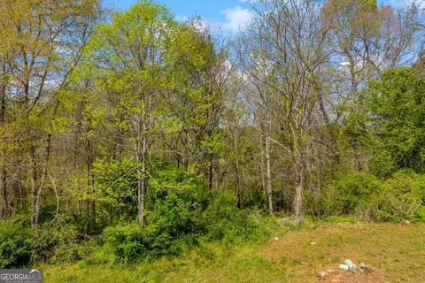 9141 Golfview Ln, Covington, GA 30014 photo 8