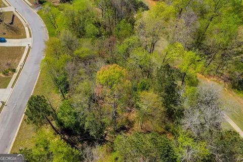 9141 Golfview Ln, Covington, GA 30014 photo 9