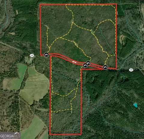 337 Ac Hwy 137, Buena Vista, GA 31803
