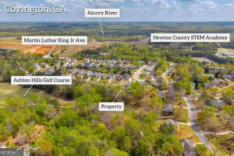 9125 Golfview Ln, Covington, GA 30014 photo 4