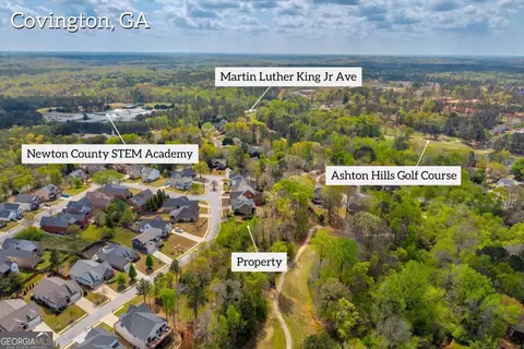 9125 Golfview Ln, Covington, GA 30014 photo 3