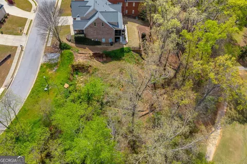 9125 Golfview Ln, Covington, GA 30014 photo 8