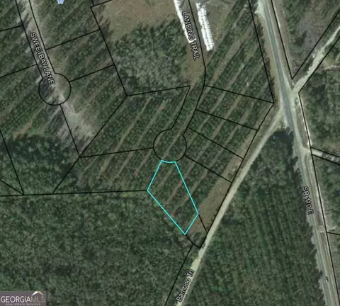 lot33 Landing Trl, Waynesville, GA 31566