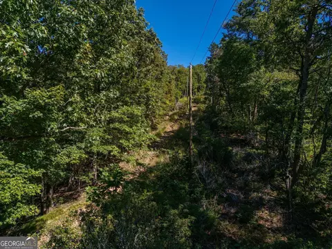 0 Shadowick Mountain Rd, Jasper, GA 30143 photo 12