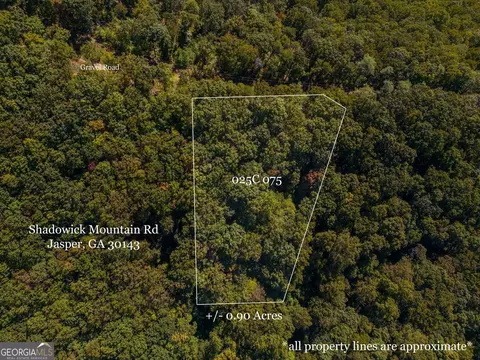 0 Shadowick Mountain Rd, Jasper, GA 30143