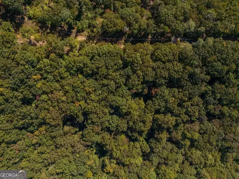 0 Shadowick Mountain Rd, Jasper, GA 30143 photo 8