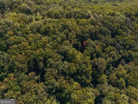 0 Shadowick Mountain Rd, Jasper, GA 30143 photo 6