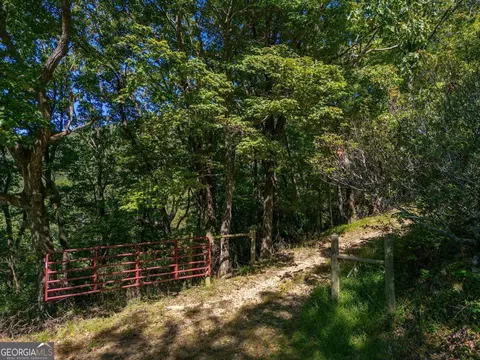 0 Shadowick Mountain Rd, Jasper, GA 30143 photo 11