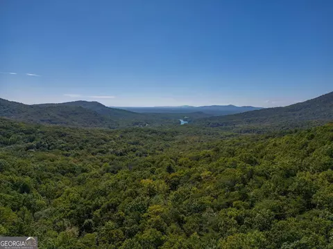 0 Denny Ridge Rd, Jasper, GA 30143 photo 8