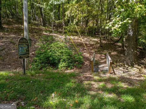 0 Denny Ridge Rd, Jasper, GA 30143 photo 11