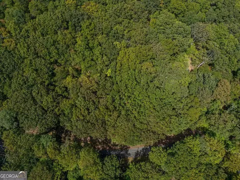 0 Denny Ridge Rd, Jasper, GA 30143 photo 6