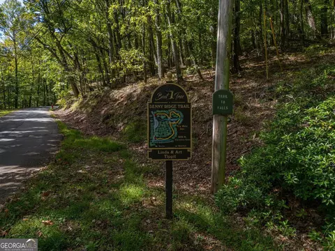 0 Denny Ridge Rd, Jasper, GA 30143 photo 12