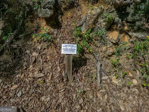 0 Denny Ridge Rd, Jasper, GA 30143 photo 10
