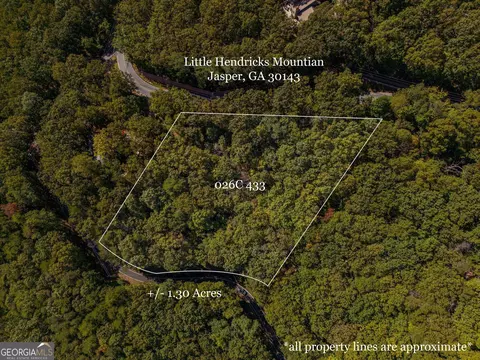0 Little Hendricks Mountain Rd, Jasper, GA 30143