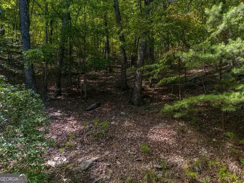 0 Little Hendricks Mountain Rd, Jasper, GA 30143 photo 2