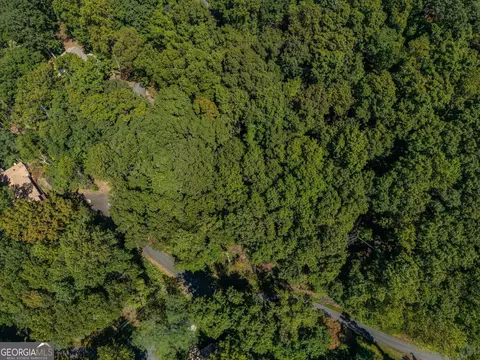 0 Little Hendricks Mountain Rd, Jasper, GA 30143 photo 14
