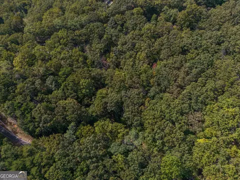 0 Little Hendricks Mountain Rd, Jasper, GA 30143 photo 3