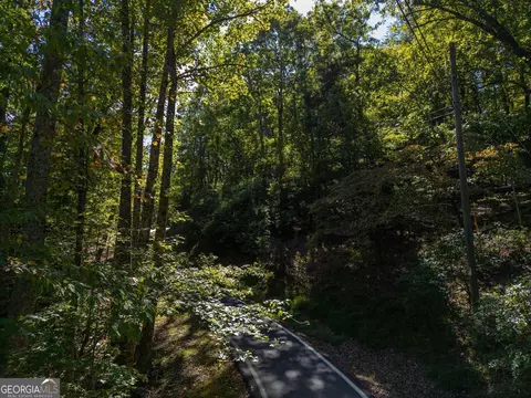 0 Little Hendricks Mountain Rd, Jasper, GA 30143 photo 11