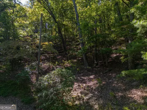 0 Little Hendricks Mountain Rd, Jasper, GA 30143 photo 10