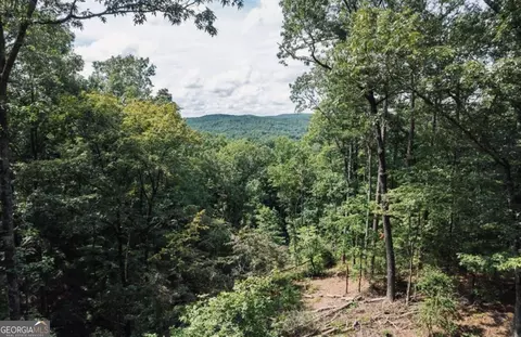 lot314 Pebble Trce #314, Talking Rock, GA 30175