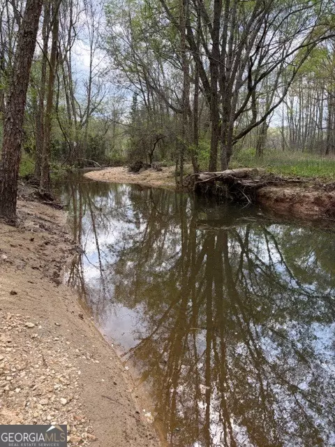 54 Coppermine Rd, Buchanan, GA 30113