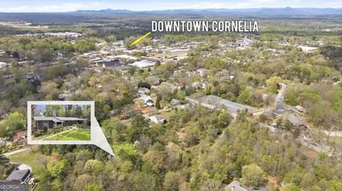 View/Area - 490 Maple St, Cornelia, GA 30531 photo 9 of 14