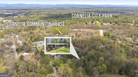View/Area - 490 Maple St, Cornelia, GA 30531 photo 11 of 14