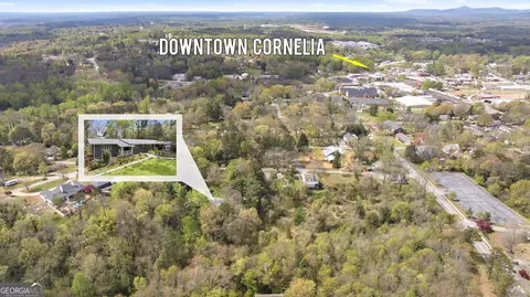 View/Area - 490 Maple St, Cornelia, GA 30531 photo 8 of 14