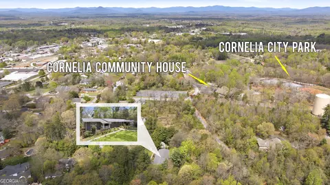 View/Area - 490 Maple St, Cornelia, GA 30531 photo 10 of 14