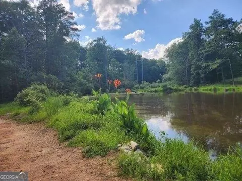 120 Bridgemill Dr, Hampton, GA 30228 photo 5