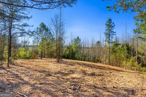 10 Legacy Vw, Hartwell, GA 30643 photo 7