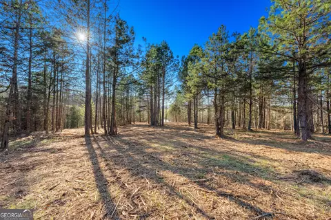 10 Legacy Vw, Hartwell, GA 30643 photo 5