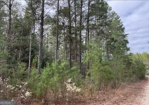 0 Long Ford Rd, Jesup, GA 31546