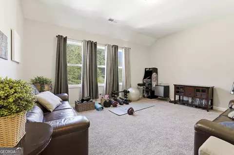 Other - 335 Park Haven Ln, Tyrone, GA 30290 photo 8 of 10
