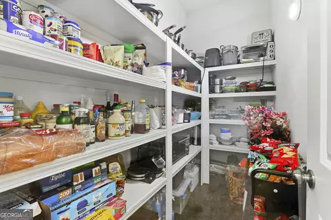 Other - 335 Park Haven Ln, Tyrone, GA 30290 photo 5 of 10