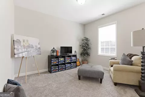 Other - 335 Park Haven Ln, Tyrone, GA 30290 photo 7 of 10