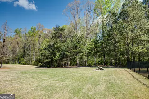 Exterior - 335 Park Haven Ln, Tyrone, GA 30290 photo 7 of 10