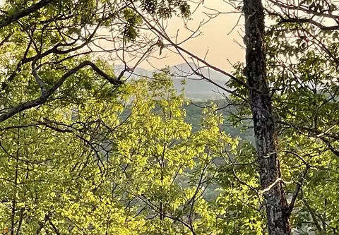 0 Little Eagle Mtn #LOT 5, Clarkesville, GA 30523