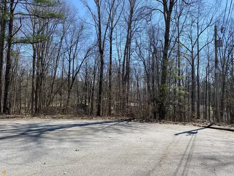 226 Farmbrook Pkwy, Stockbridge, GA 30281 photo 16