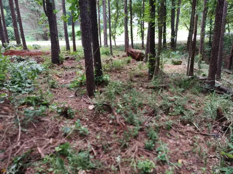 226 Farmbrook Pkwy, Stockbridge, GA 30281 photo 5