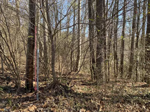 226 Farmbrook Pkwy, Stockbridge, GA 30281 photo 15