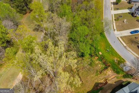 9131 Golfview Ln, Covington, GA 30014 photo 18